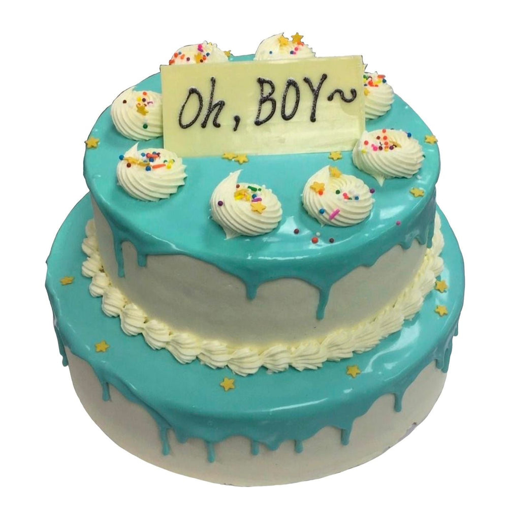 
                      
                        Baker's Birthday Cake!
                      
                    