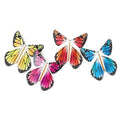 Magic Butterfly