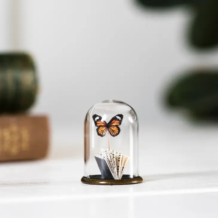 
                      
                        Paper Miniature Butterfly & Book in Glass Dome (more colour options)
                      
                    