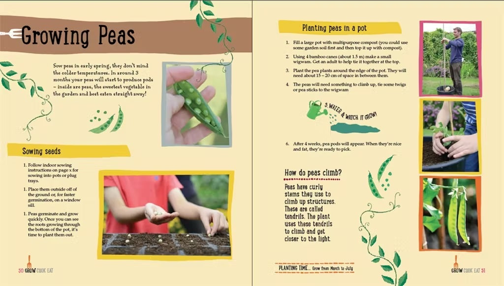 cooks garden seeds Plant, Cook, Eat!: A Children's Cookbook – Butter Baker