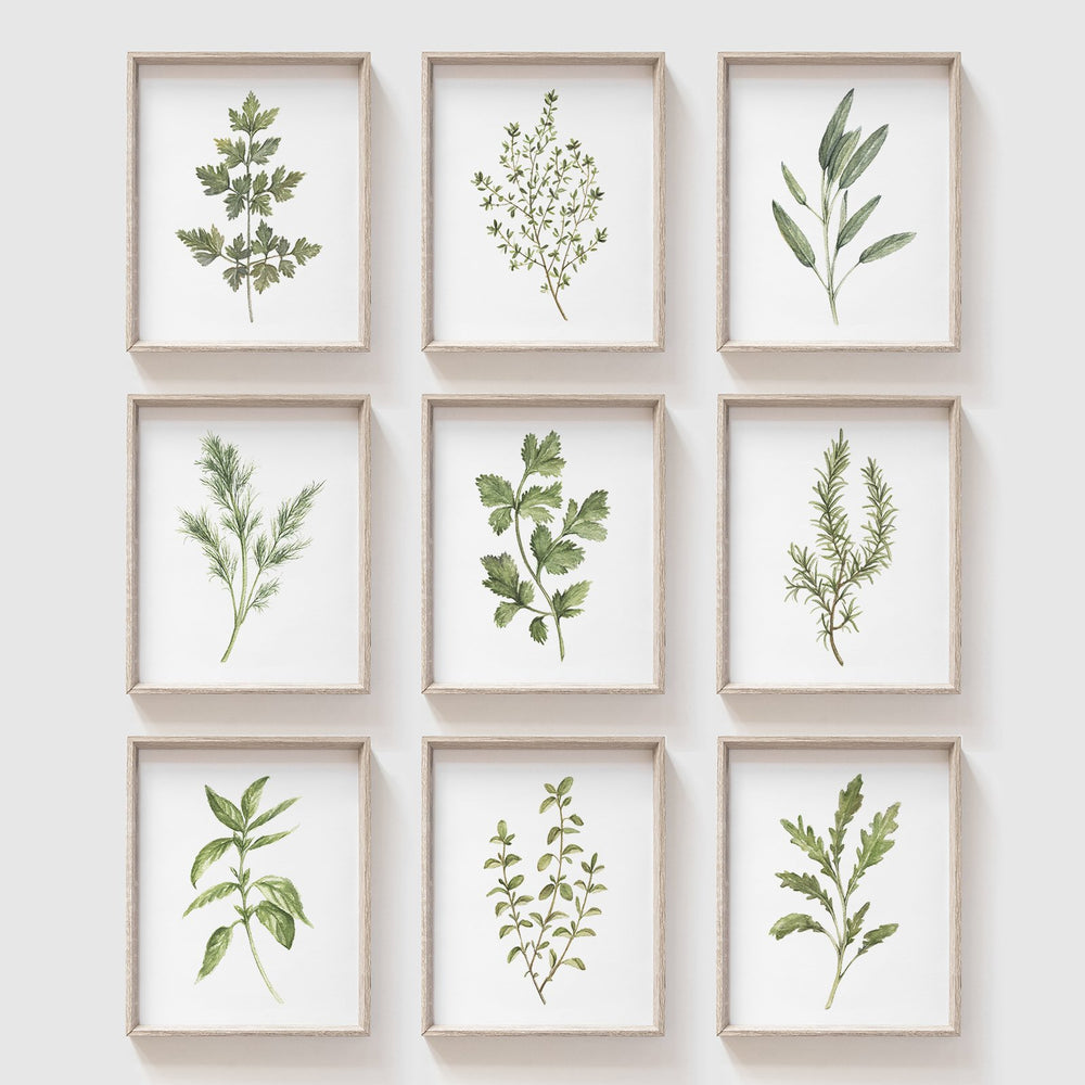 Carrot Art Print